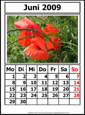 6-Kalender-N-09-Juni.jpg